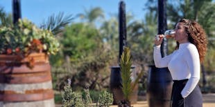 Tour guidato con degustazione di vini e tapas da Alicante