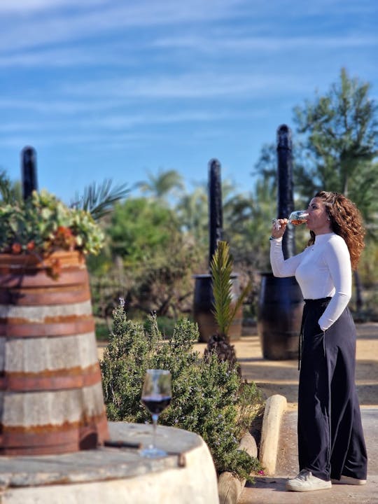 Weinprobe und Tapas-Führung ab Alicante