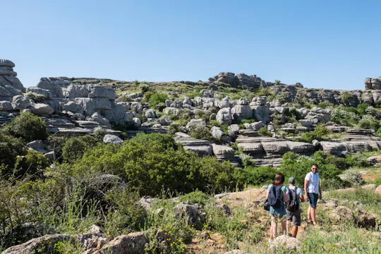El Torcal and Antequera tour with lunch and orange farm visit