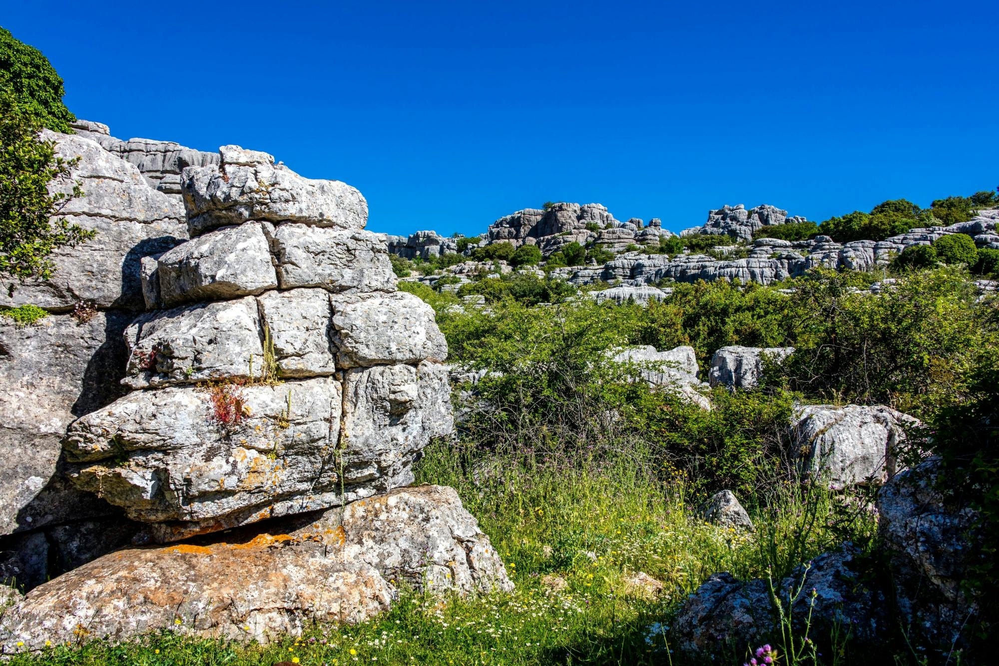 Andalusia tour with El Torcal, Antequera and lunch