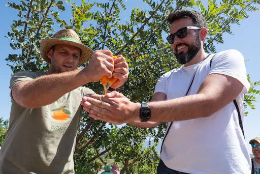 Andalusia tour with El Torcal, Antequera and lunch