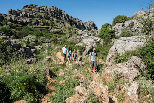 Andalusia tour with El Torcal, Antequera and lunch