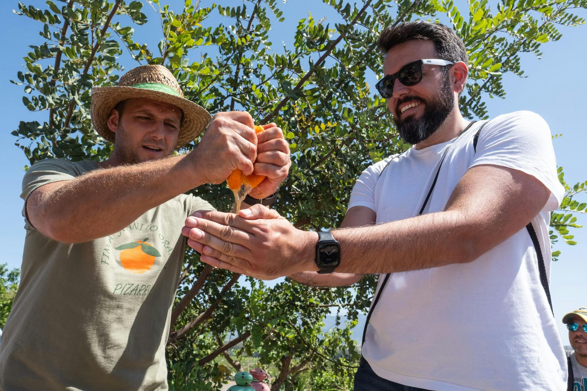 Andalusia tour with El Torcal, Antequera and lunch