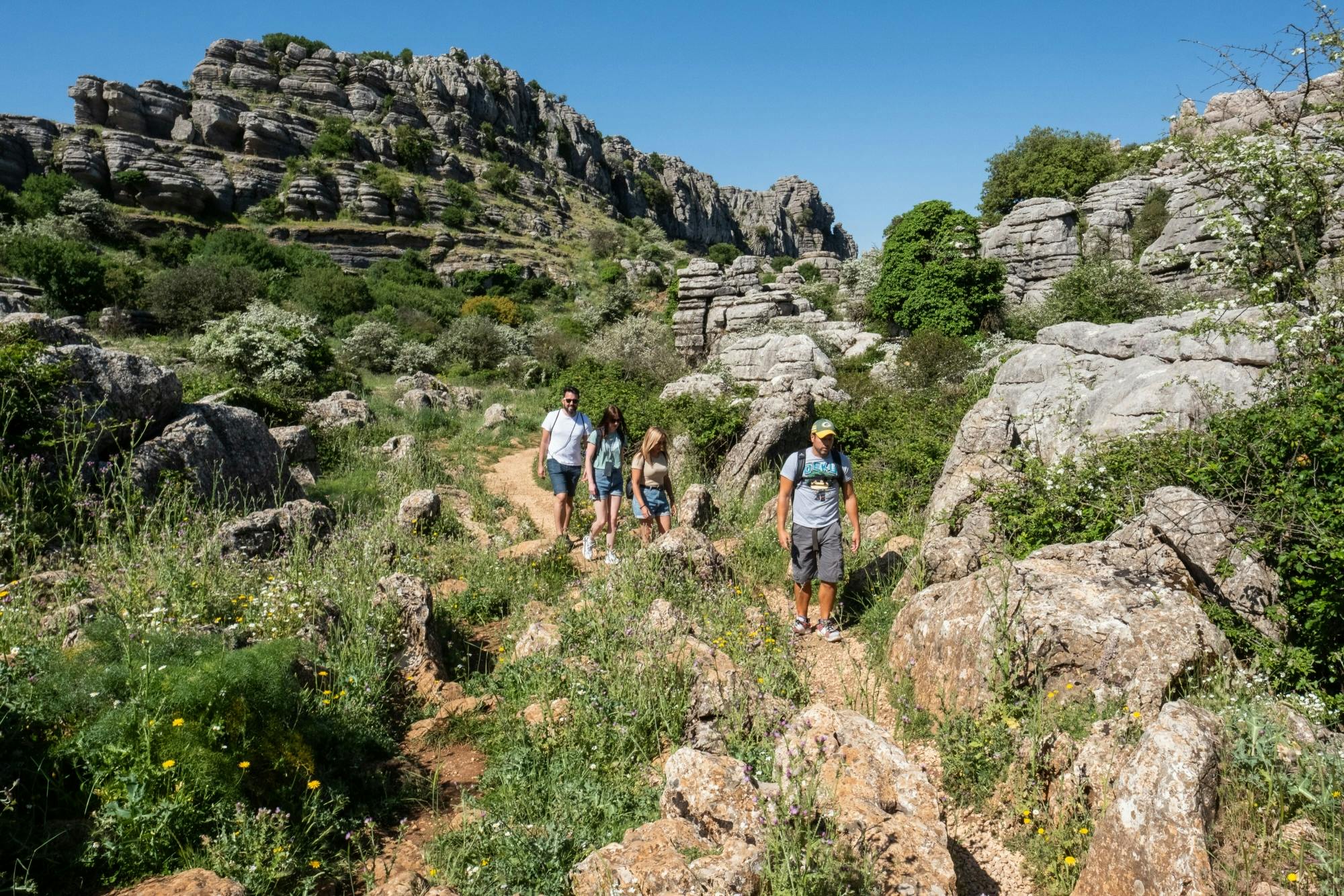 Andalusia tour with El Torcal, Antequera and lunch