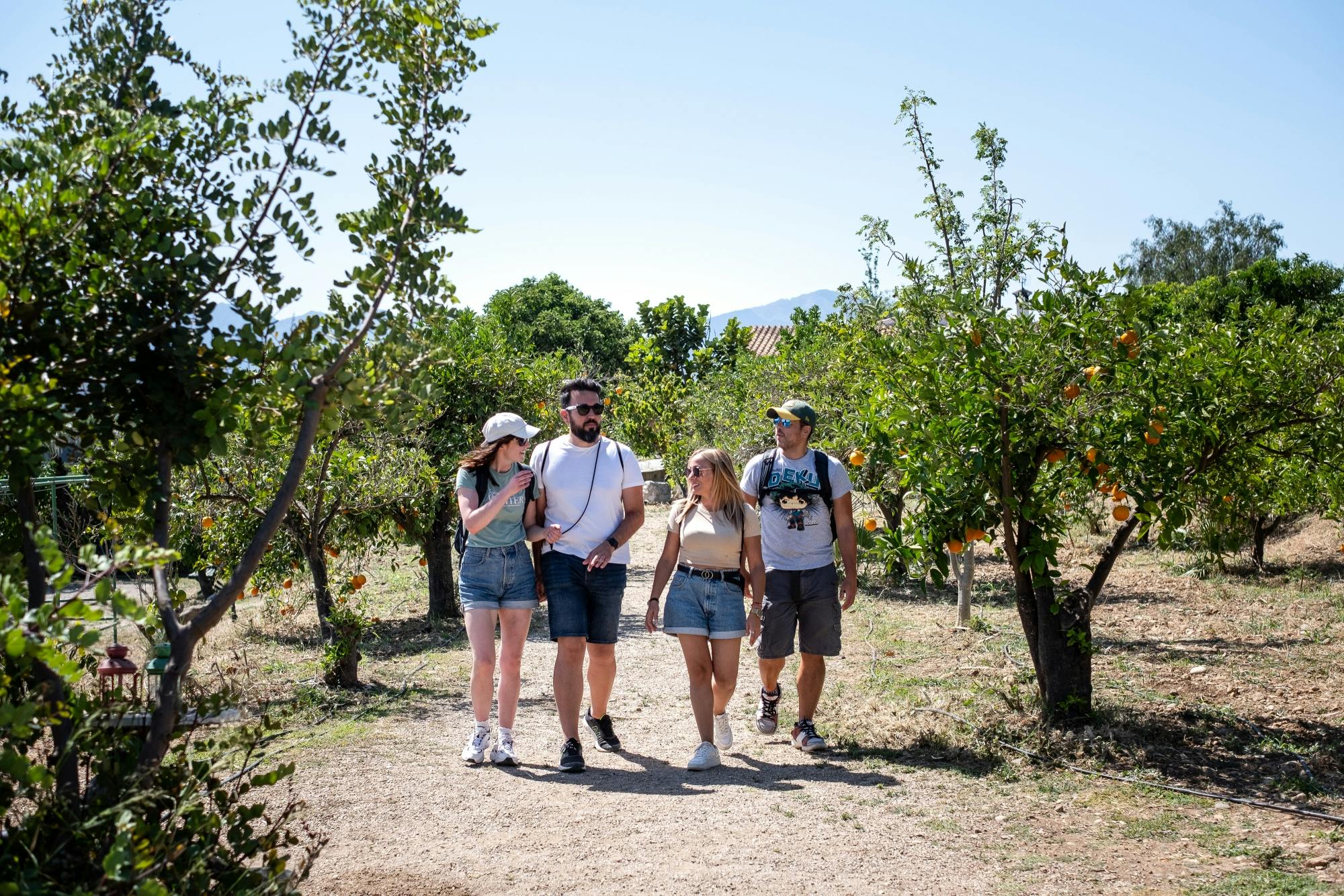 Andalusia tour with El Torcal, Antequera and lunch