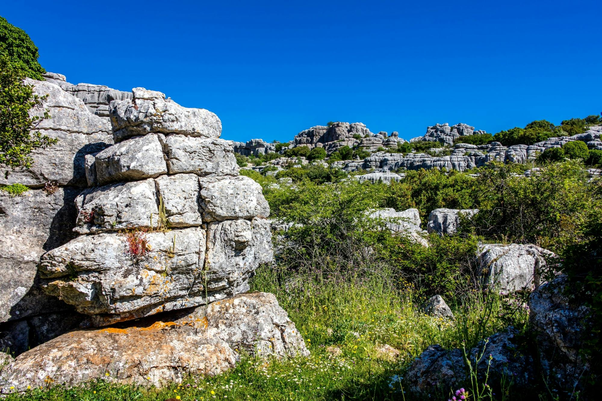 Andalusia tour with El Torcal, Antequera and lunch