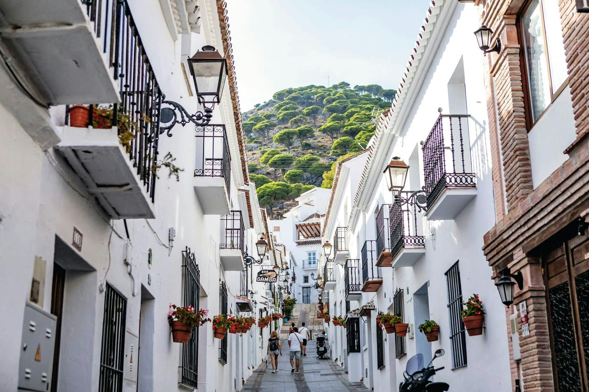 Malaga old town and Mijas mountain village tour