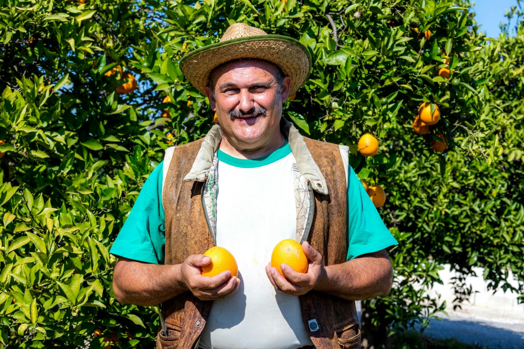 Andalusia tour with El Torcal, Antequera and lunch