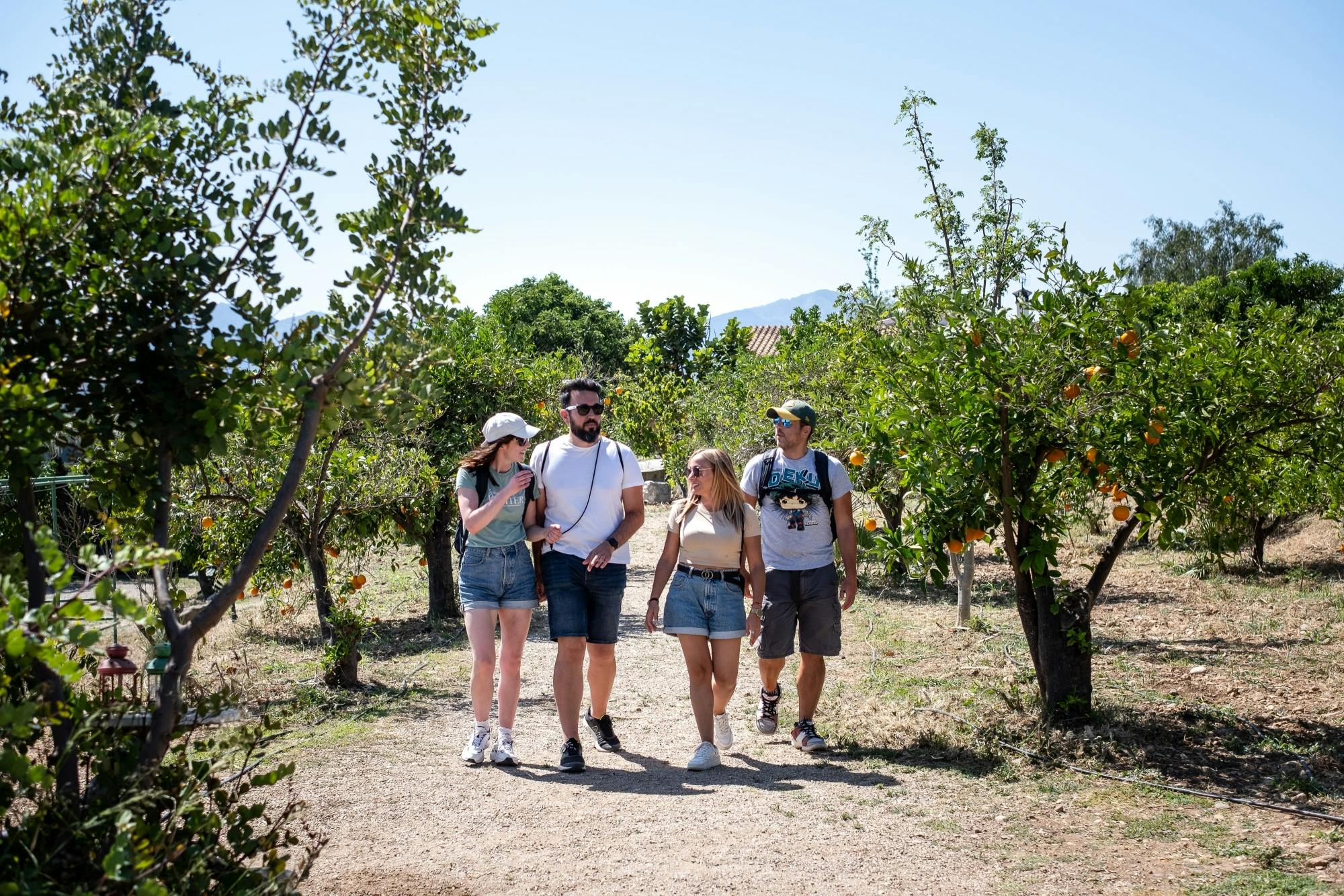 Andalusia tour with El Torcal, Antequera and lunch