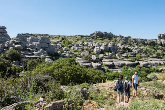 Wycieczka do El Torcal i Antequery z lunchem i wizytą na farmie pomarańczy