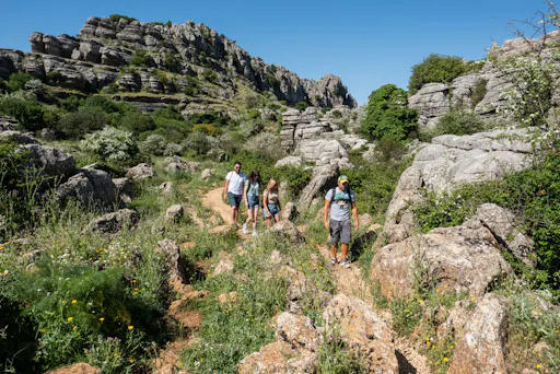 Andalusia tour with El Torcal, Antequera and lunch