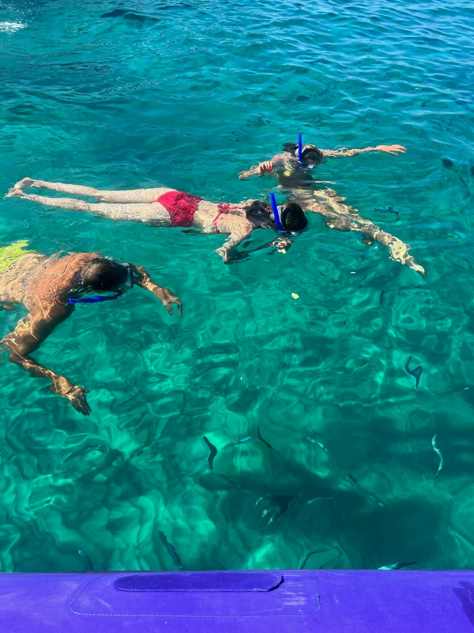 Half-day boat tour from Ibiza