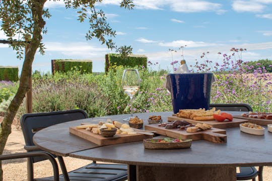Dalí and wine full day tour with Castle of Púbol and tasting