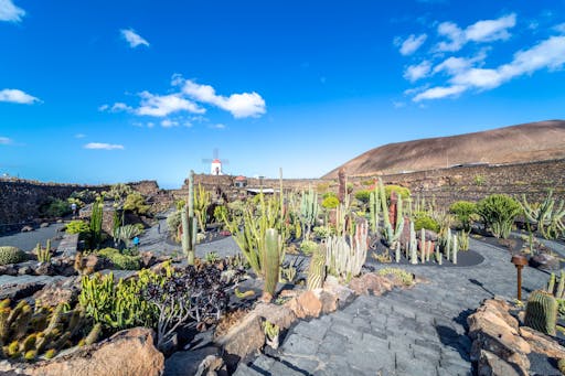 Cesar Manrique’s Lanzarote Tour with Cactus Garden and LagOmar