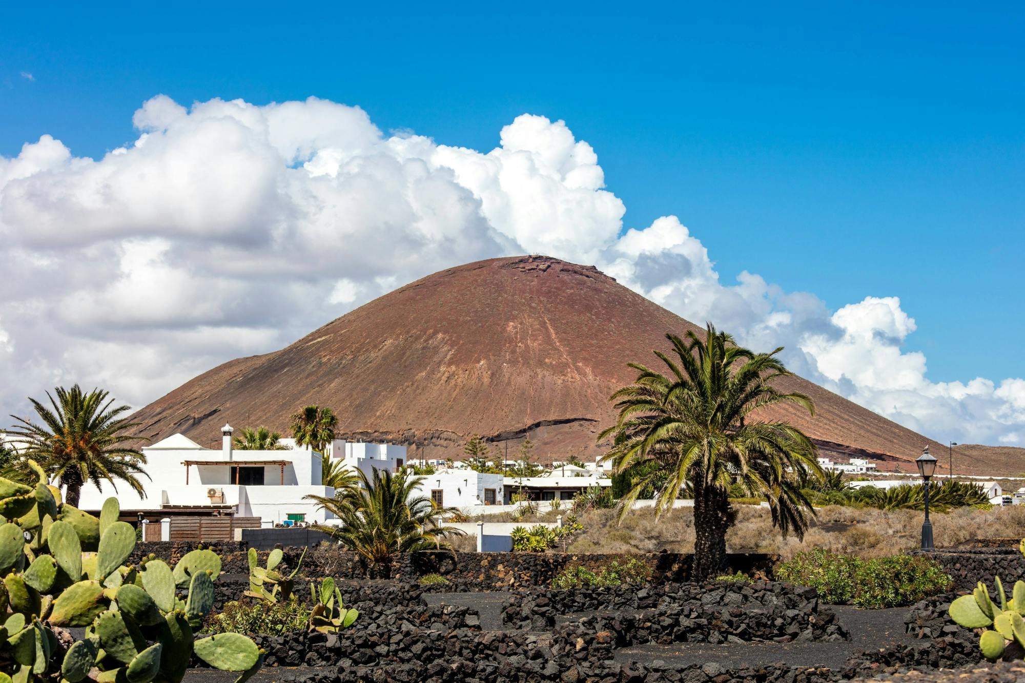 Cesar Manrique’s Lanzarote Tour with Cactus Garden and LagOmar