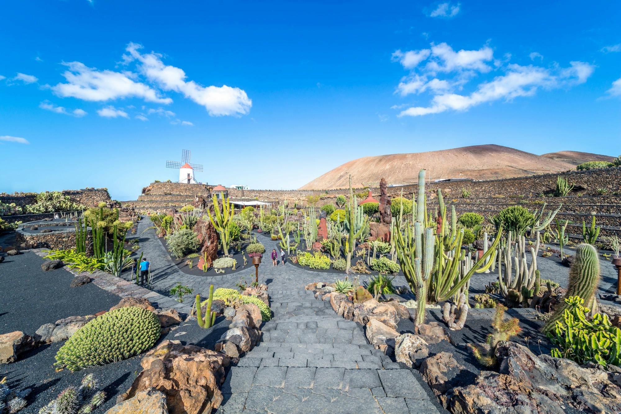Cesar Manrique’s Lanzarote Tour with Cactus Garden and LagOmar