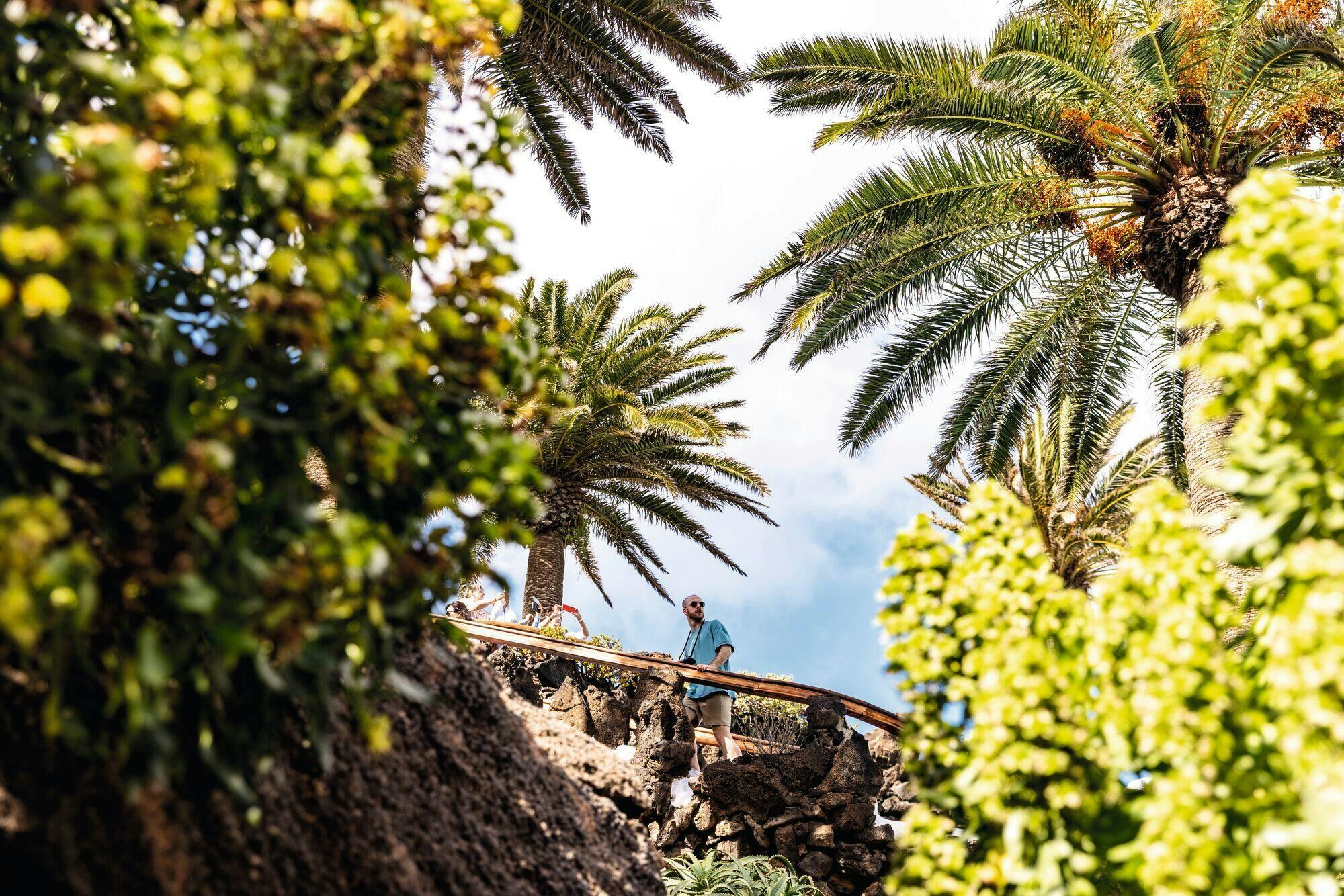 Cesar Manrique’s Lanzarote Tour with Cactus Garden and LagOmar