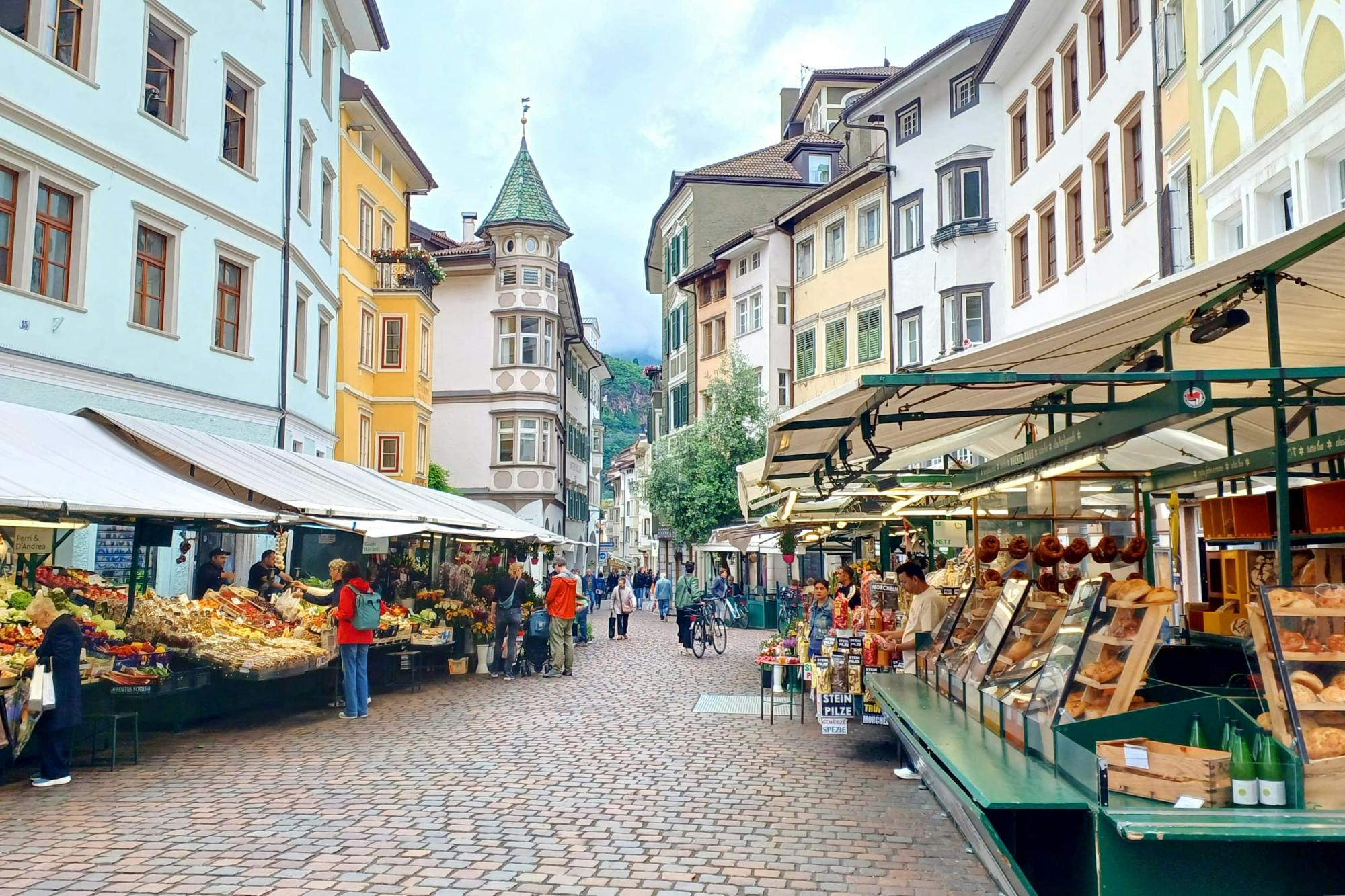 Bolzano and Renon tour with panoramic train ride