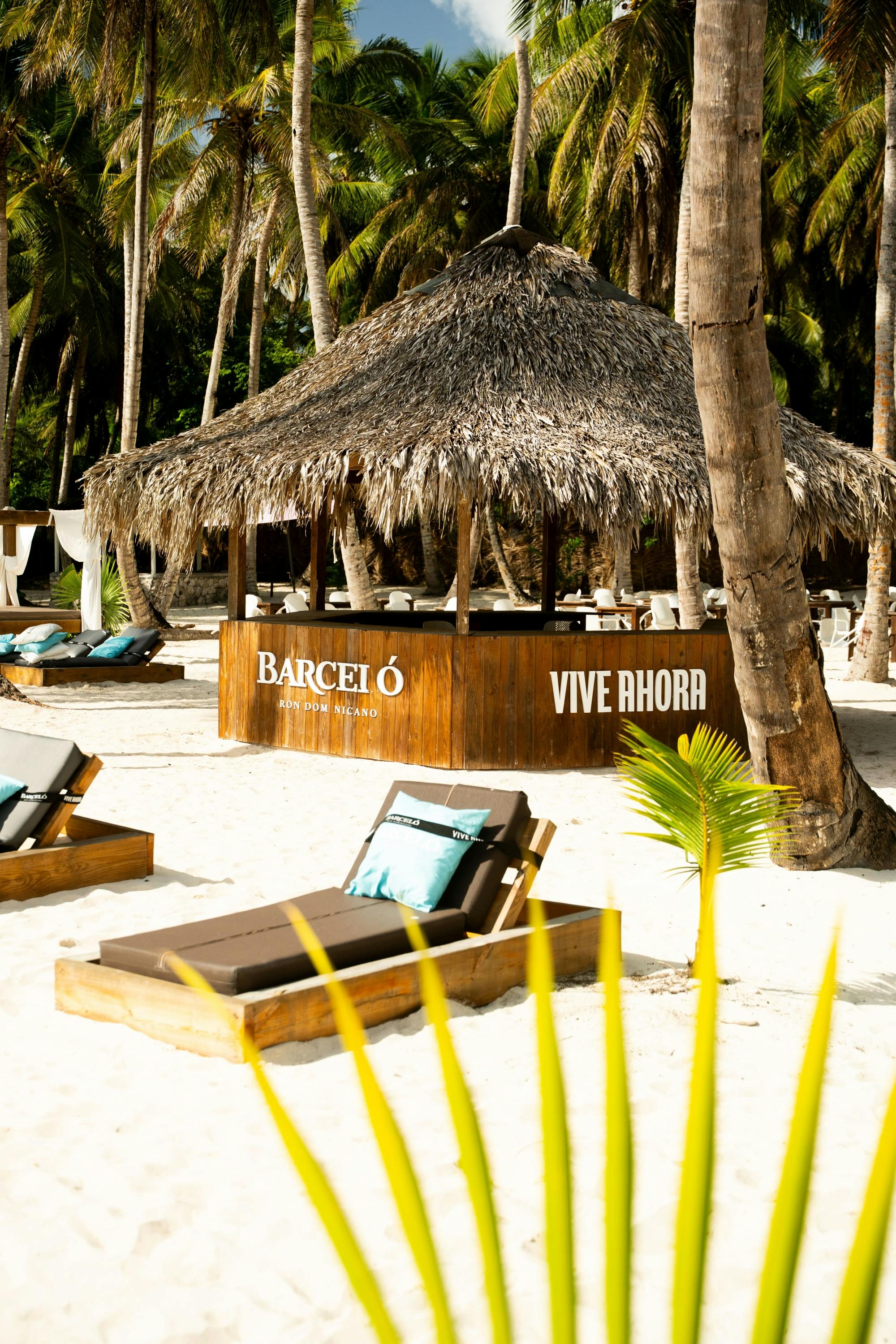 Saona and Ron Barcelo Island experience in the Dominican Republic