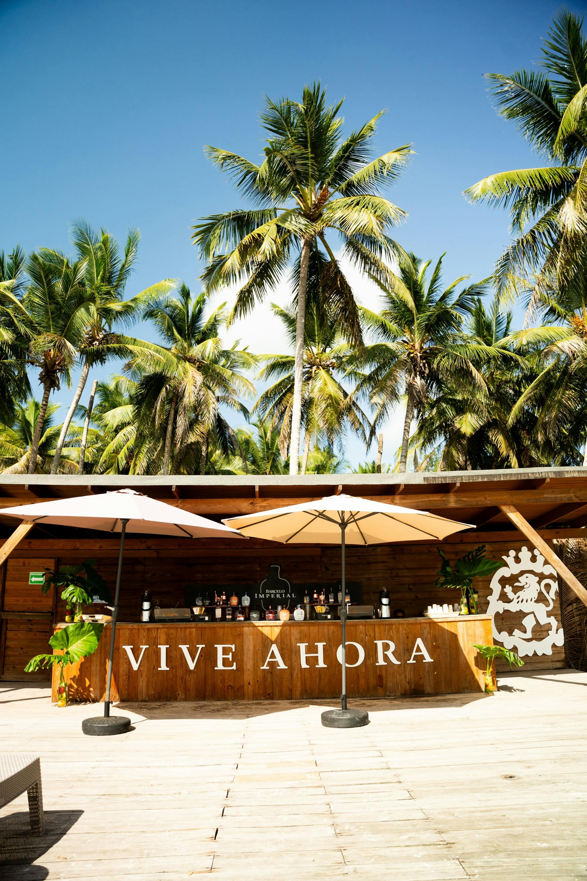 Saona and Ron Barcelo Island experience in the Dominican Republic