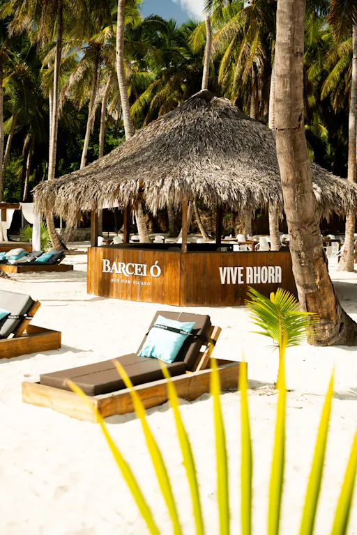 Saona and Ron Barcelo Island experience in the Dominican Republic