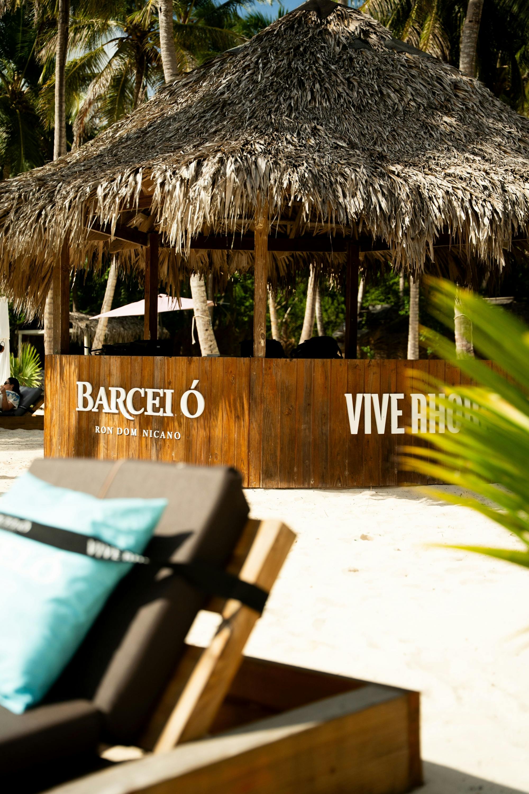 Saona and Ron Barcelo Island experience in the Dominican Republic