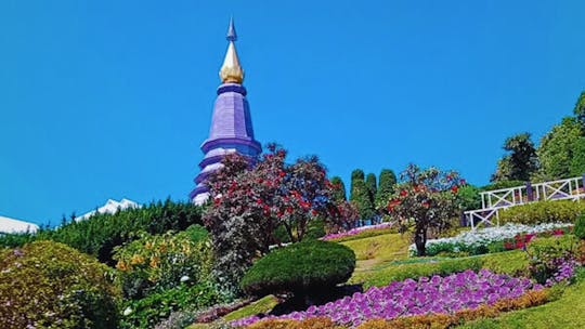 Private day trip with professional driver in Doi Inthanon