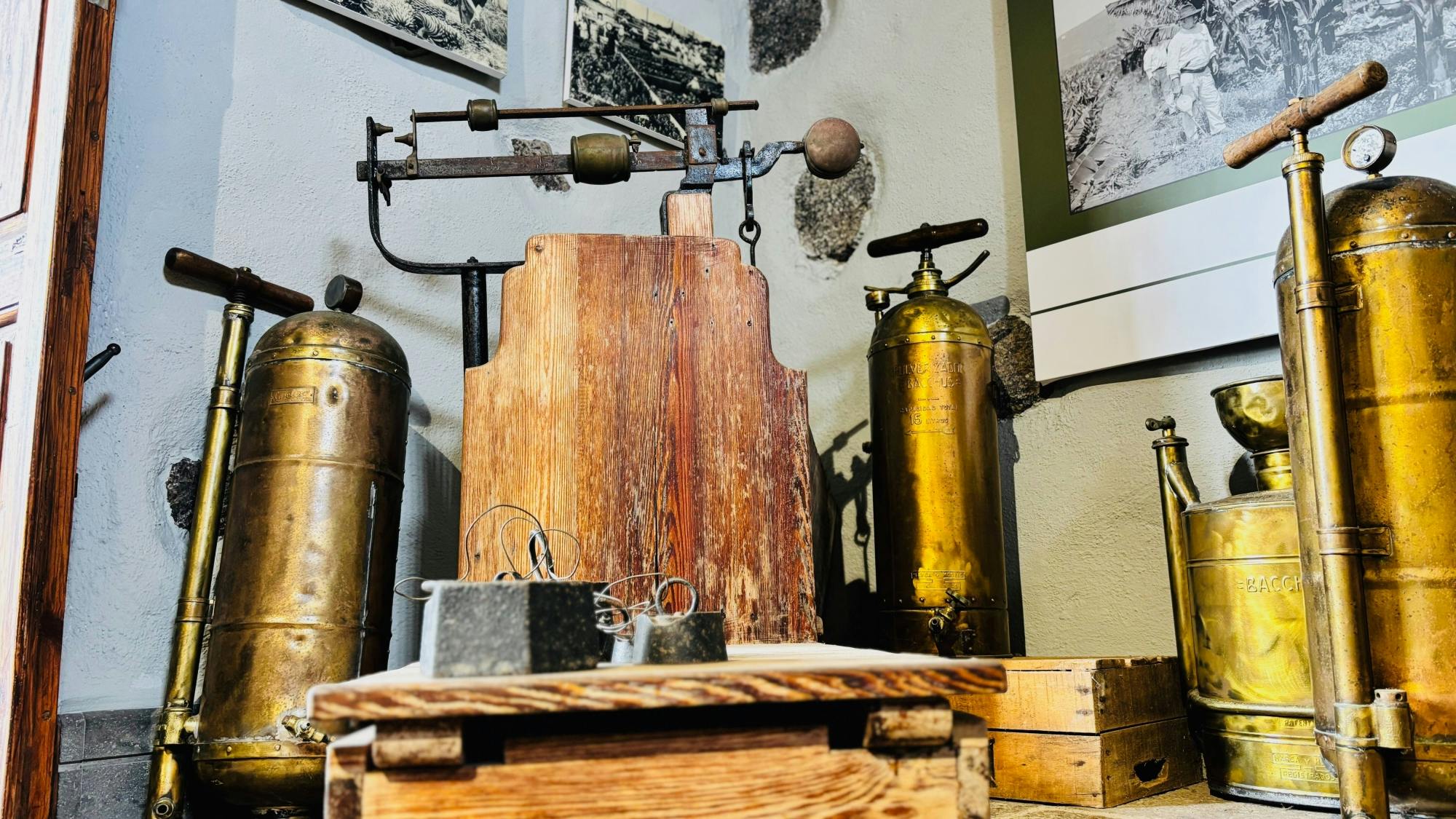 Full Day Tenerife Tour with La Laguna and Lunch