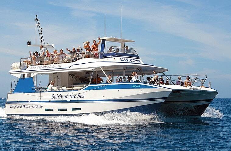 Gran Canaria Spirit of the Sea dolphin-watching cruise