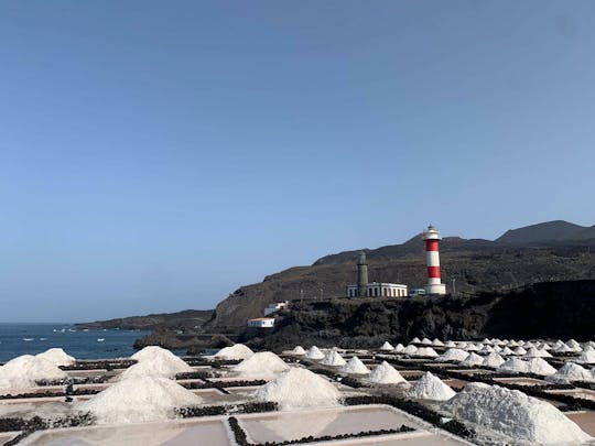 Tour in autobus 4x4 dei vulcani di Fuencaliente a La Palma