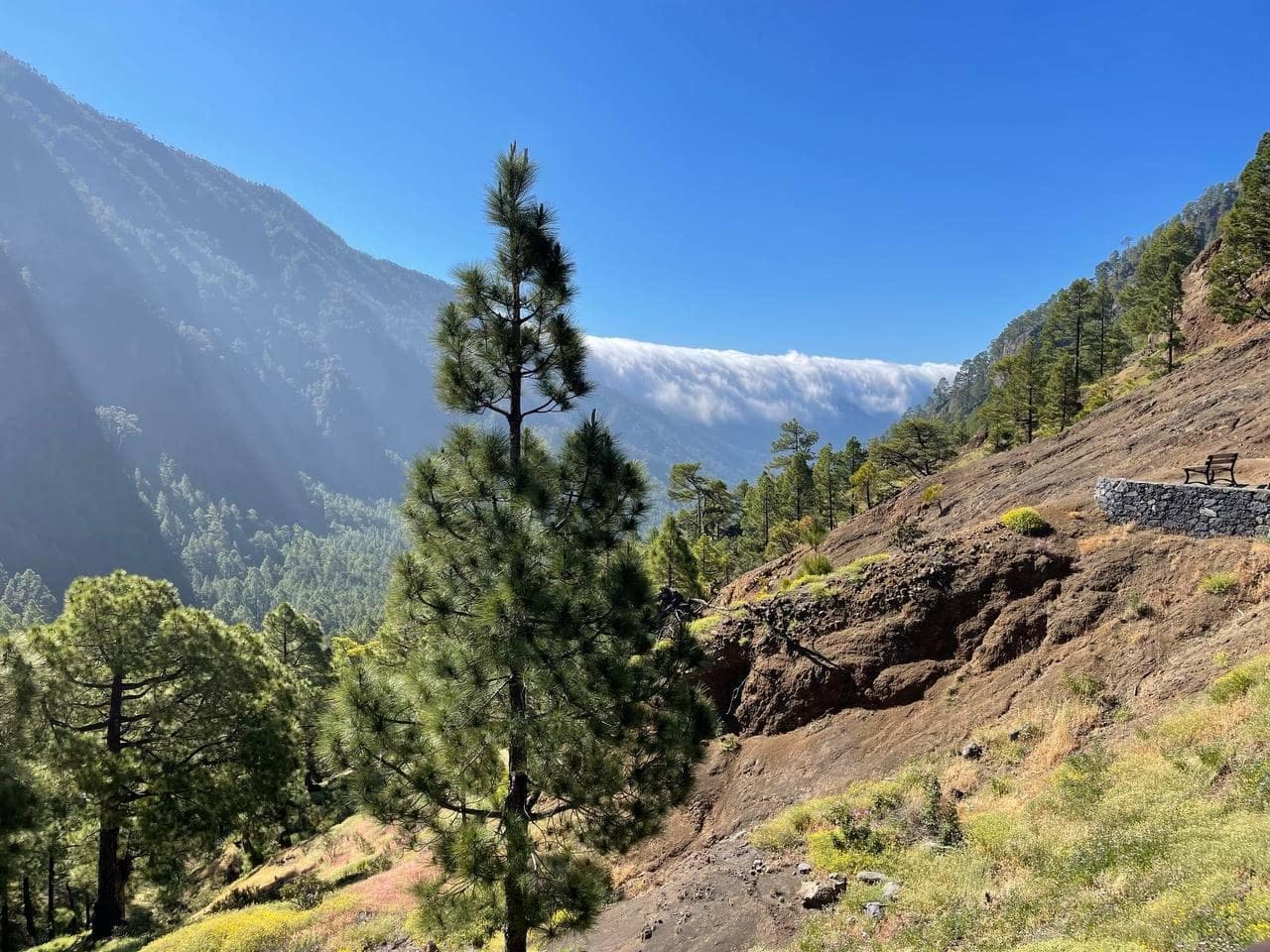 4x4 bus tour of Fuencaliente’s volcanos in La Palma