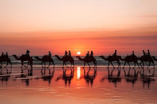 Paseo en buggy y camello por las dunas de Tamlaline