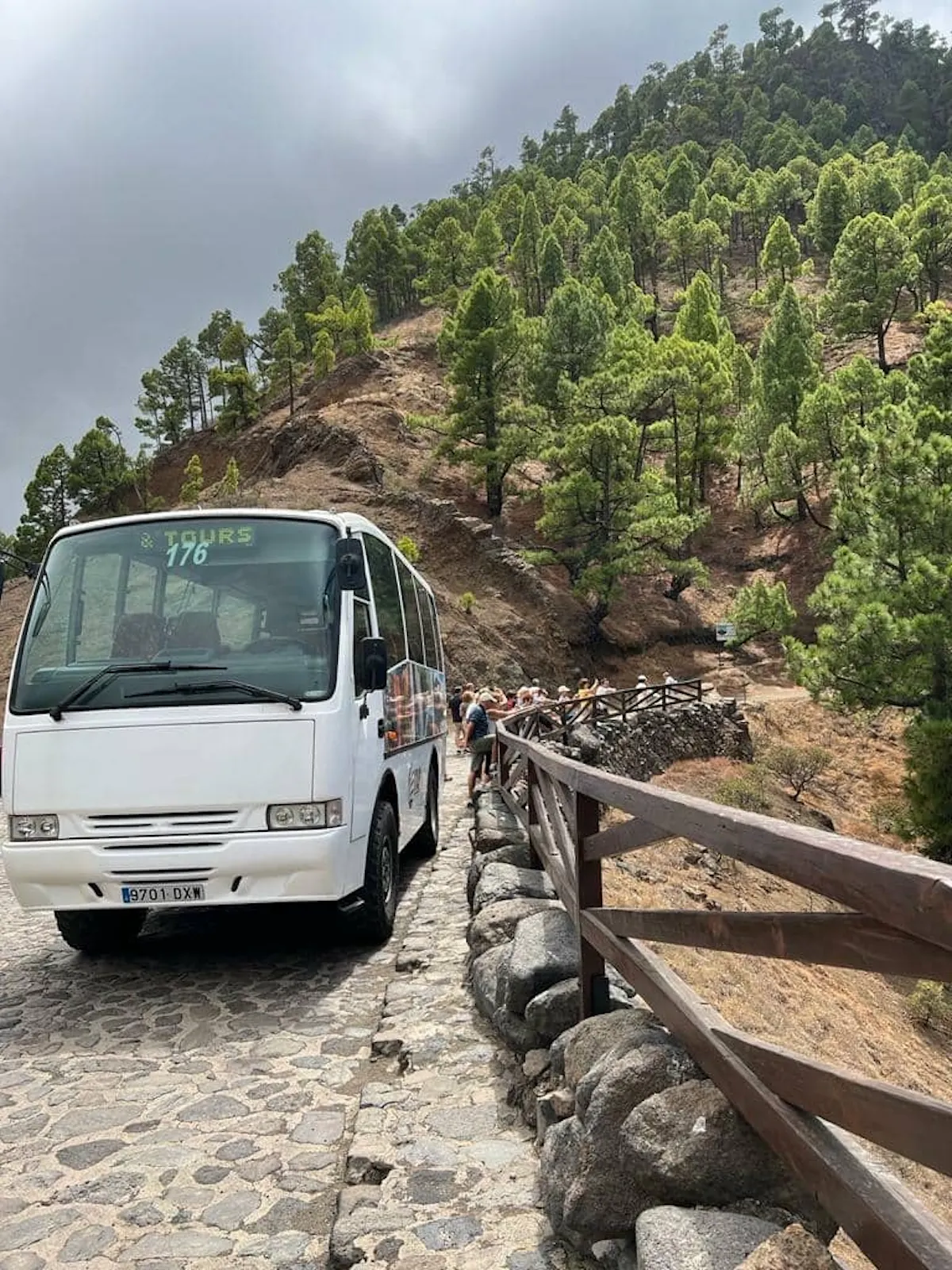 4x4 bus tour of Fuencaliente’s volcanos in La Palma