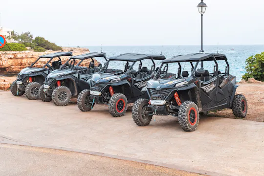 Buggy tour in the south of Mallorca's with off-road experience