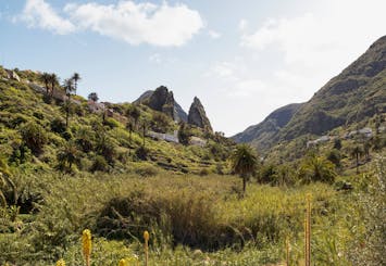 La Gomera VIP-Rundfahrt mit Garajonay Park und Mittagessen