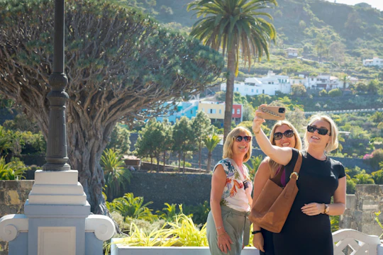 Full-day guided northwest Tenerife hidden secrets tour with transport