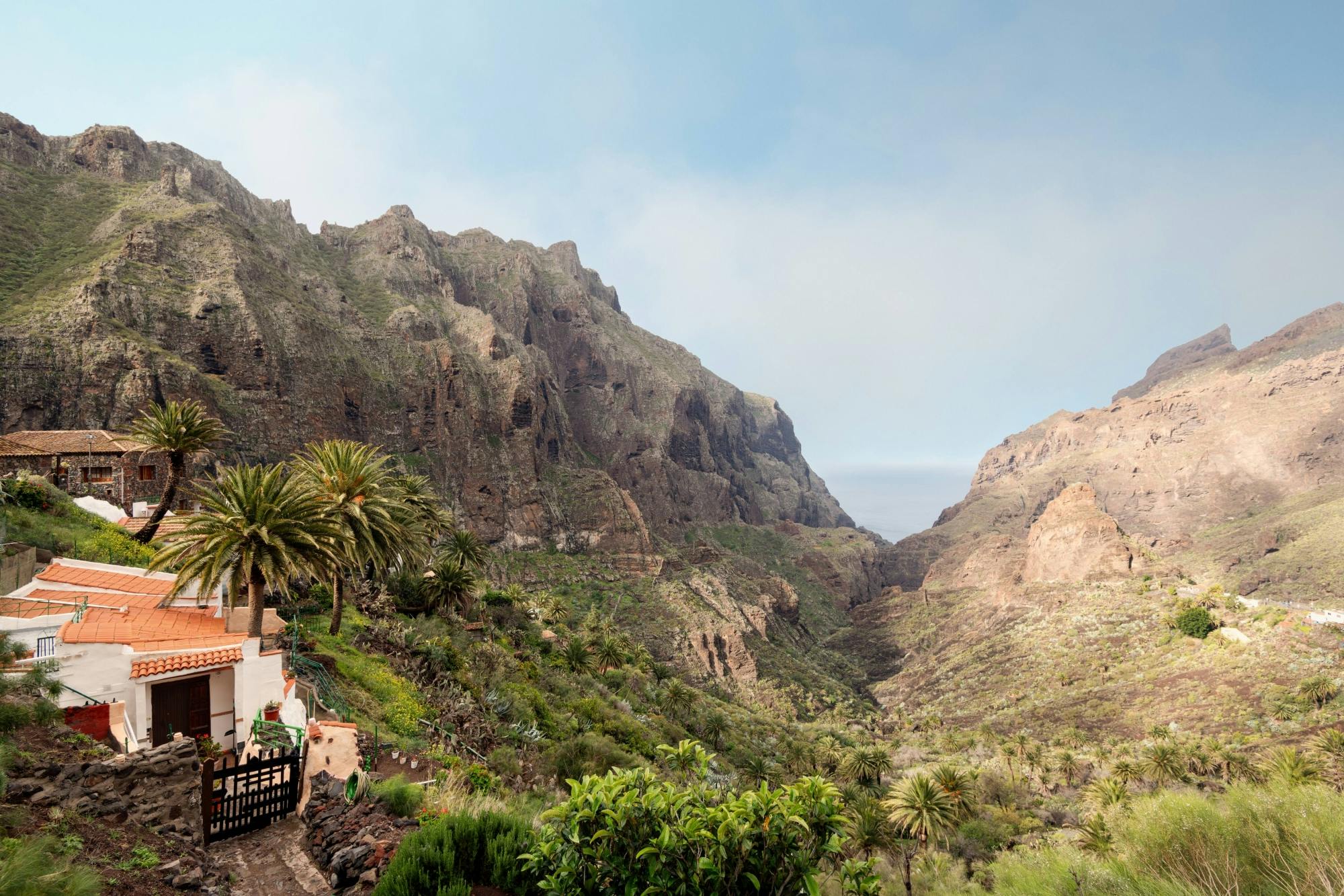 Teide and Masca Tour