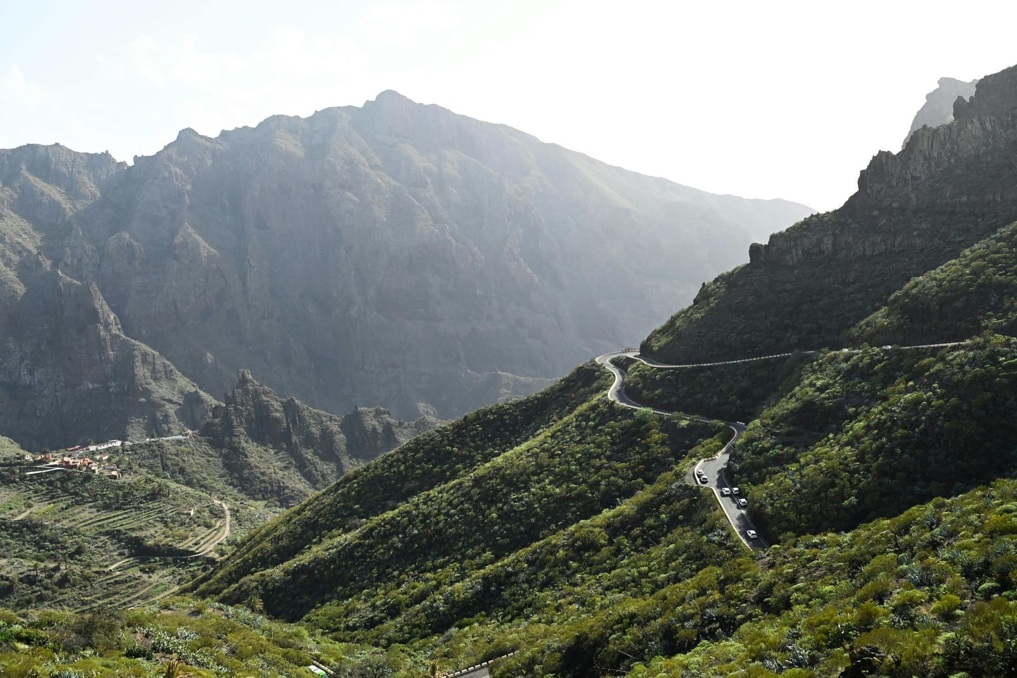 North-West Tenerife Hidden Secrets Guided Tour with Transport