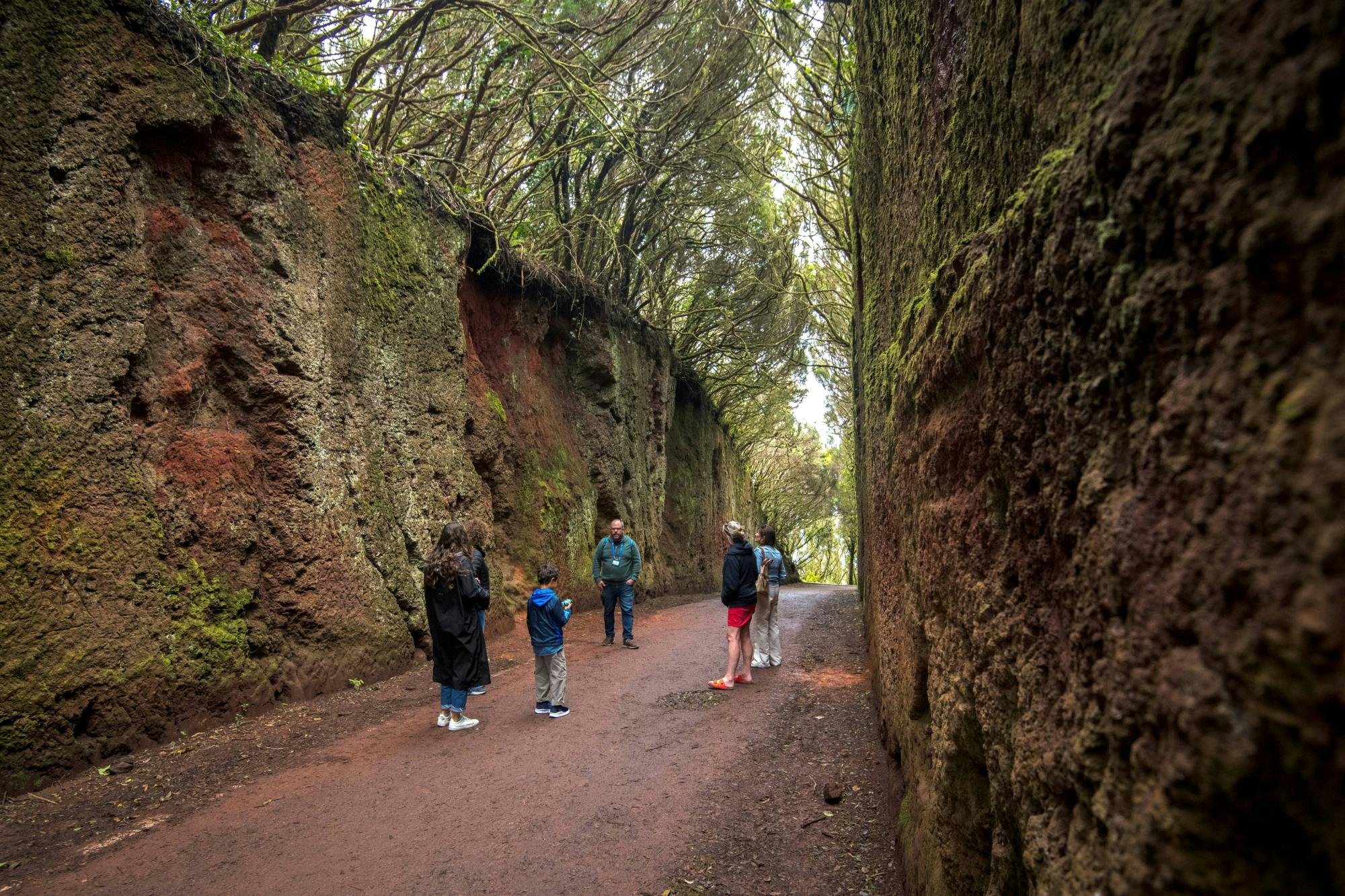 Full-day tour of Tenerife villages with Anaga Country Park and lunch