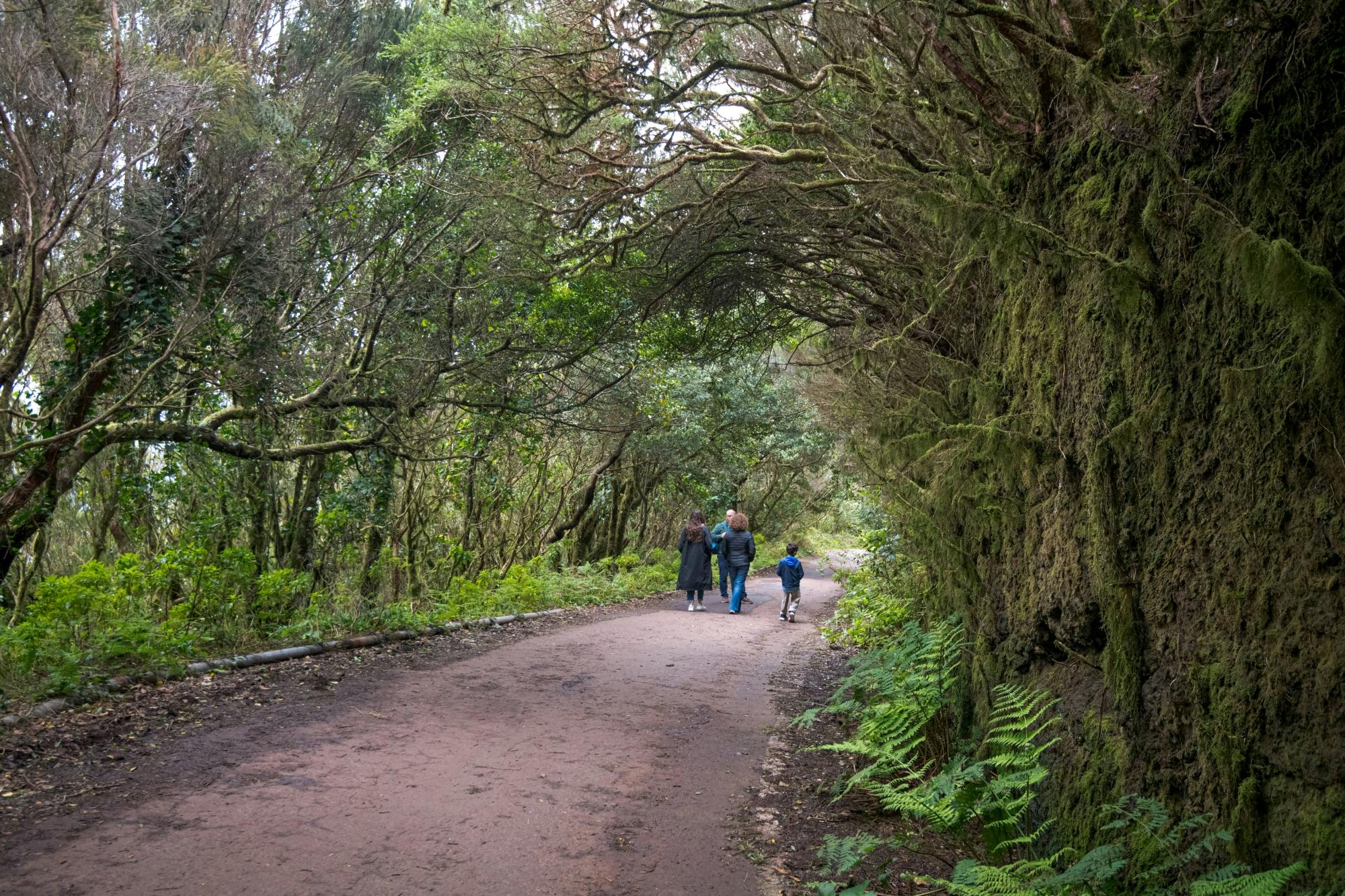 Full-day tour of Tenerife villages with Anaga Country Park and lunch