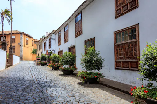 North-West Tenerife Hidden Secrets Guided Tour with Transport