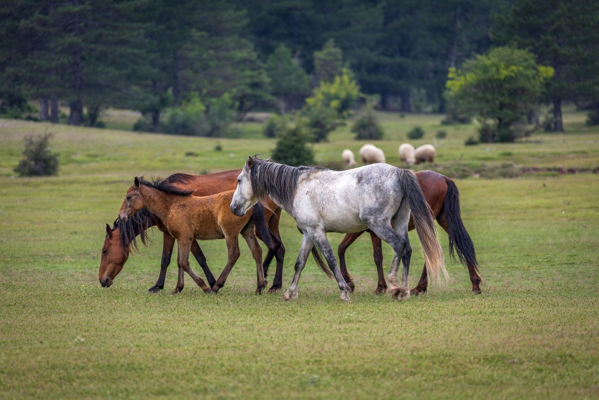 Small-group tour of Ormana and the Altrinbesik Caves in Antalya