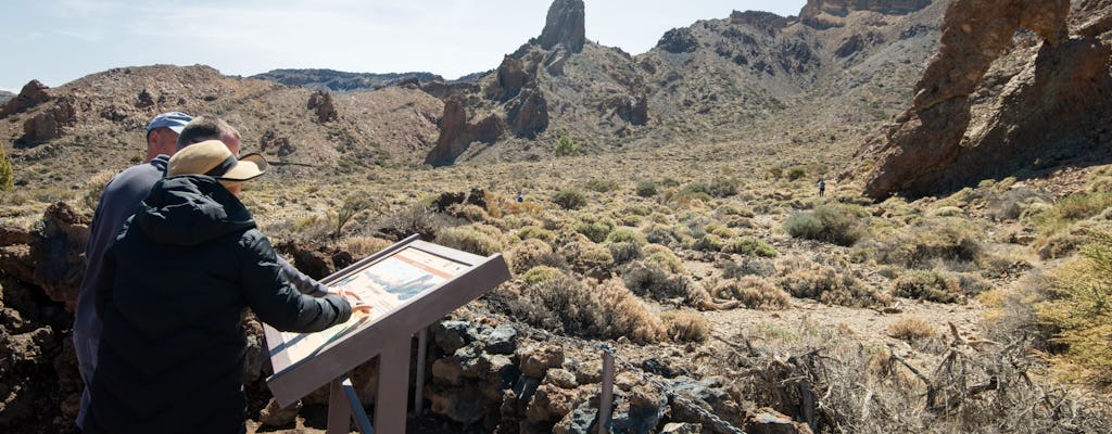 Teide and Masca tour from northern Tenerife
