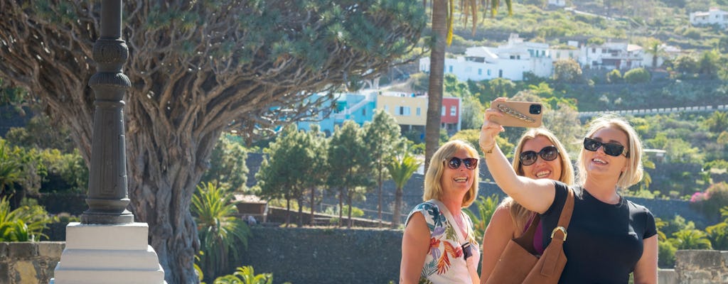 Full-day guided northwest Tenerife hidden secrets tour with transport
