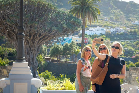 Noordwest-Tenerife Verborgen Geheimen Tour met Vervoer