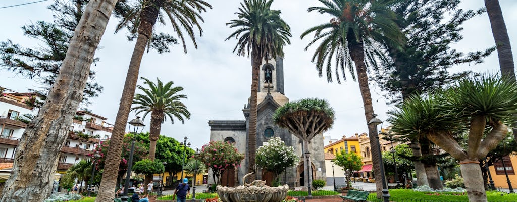Tenerife Tour with Teide National Park and lunch
