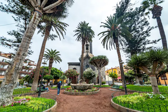 Tour em Tenerife com Parque Nacional de Teide e Almoço