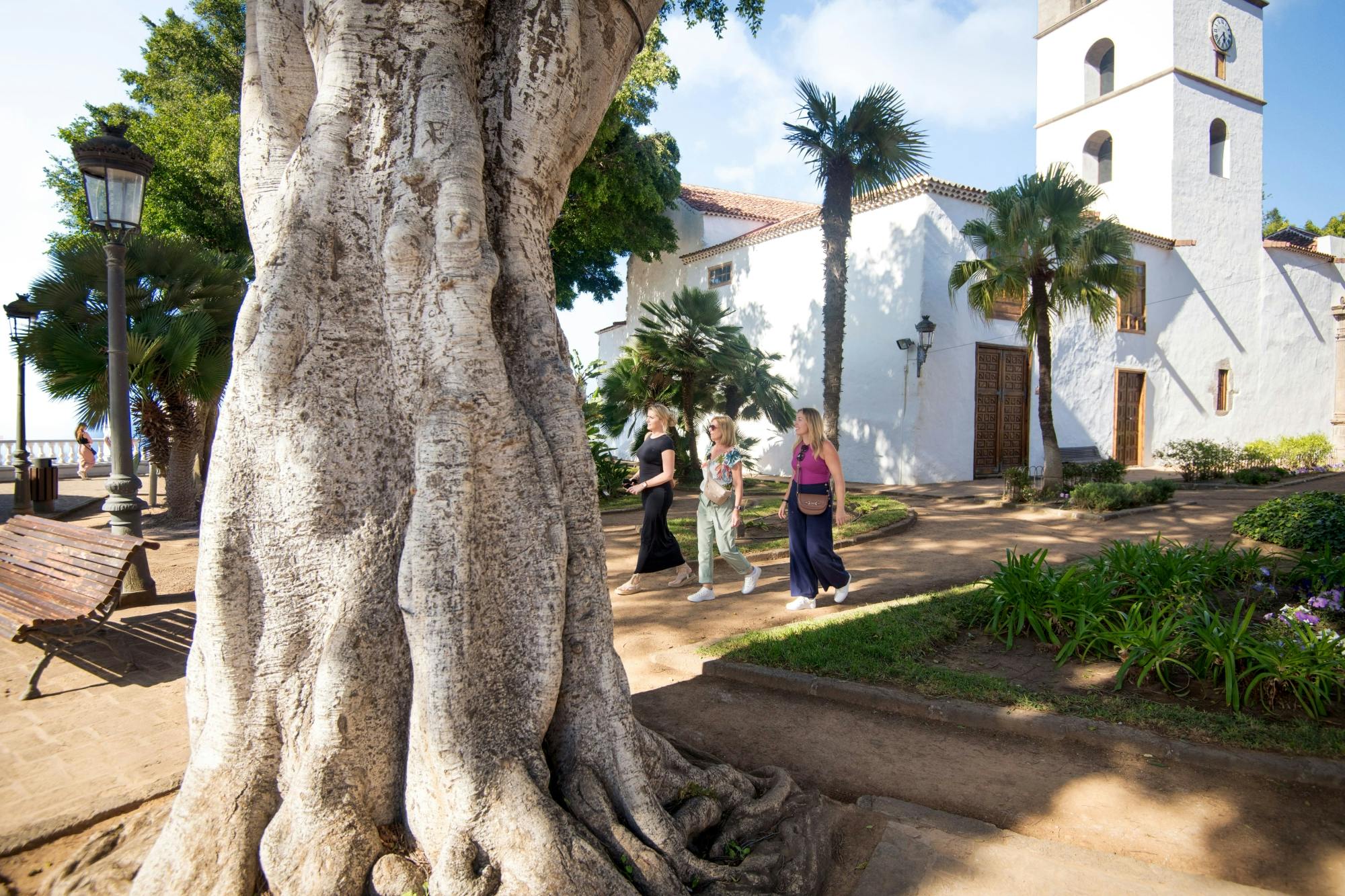 North-West Tenerife Hidden Secrets Guided Tour with Transport