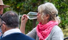 Experiencia culinaria y degustación de vinos en Epiro