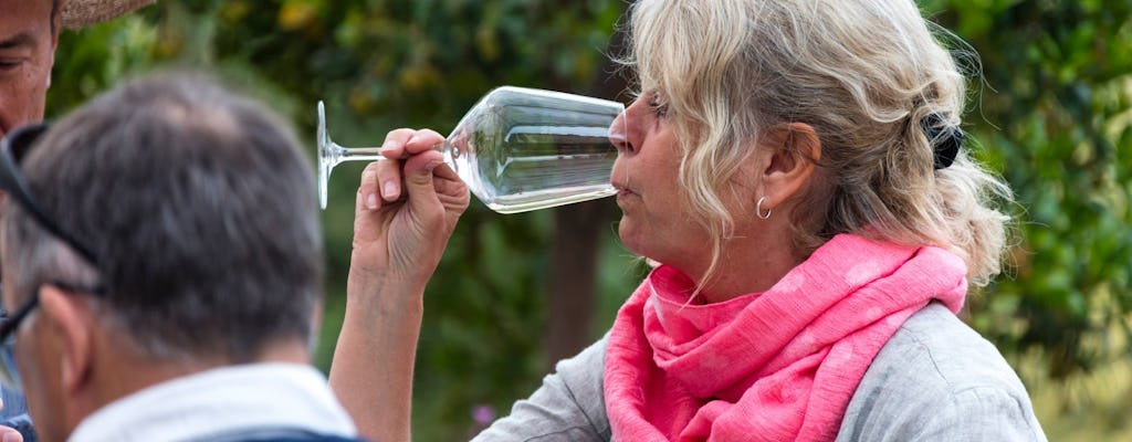 Epirus Wine Tasting & Cooking Experience